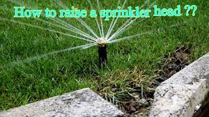 Clean the cap and the stem of the sprinkler head. How To Raise And Clean A Sprinkler Head Rain Bird Youtube