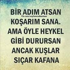 Bil Istedim Bilgi Yani Alayci Sozler Ilham Verici Alintilar Ozlu Sozler