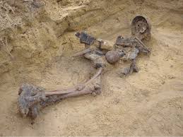 The remains of a 19 year old German soldier discovered at... | Download  Scientific Diagram