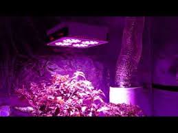 The Kind Led Grow Lights Introduce New K5 Series