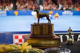 Where can i get a nascar online love stream!!?? National Dog Show 2019 On Thanksgiving How To Watch Start Time Live Stream Tv Nbc Sports