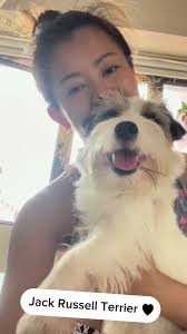 Russel Dog Mona Good Dog