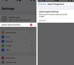 Update Apple Id Settings On Iphone Here S What It Means What To Do In 2020 Iphone Apple Settings