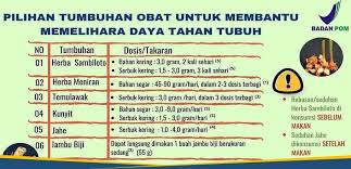 Area taman nasional tanjung puting mencakup. Tumbuhan Obat Untuk Memelihara Daya Tahan Tubuh Saat Pandemi Covid 19