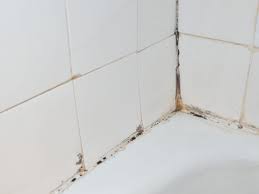 How To Clean Mildew