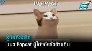 Popcat ศึกคลิกสนั่นโลก เกมธรรมดาที่ชาวเน็ตไทยให้ความสนใจ จนขึ้นแท่นอันดับ 4 เพียงชั่วข้ามคื. Jm8qixowhxmdjm