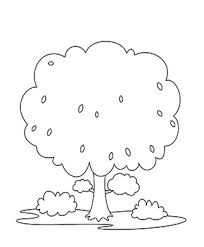 Digitale fotografie imposante kidsweb deckblatt motiviere dich, in deinem room verwendet zu werden sie können dieses bild verwenden. Biologie Deckblatt