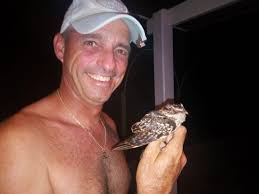 Has anyone seen a scarlet ibis in Curaçao?