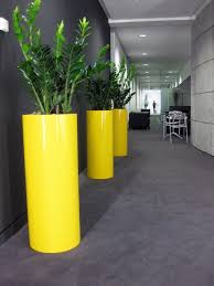 Interior Plantscapes Plant Office Design Office Plants Indoor Plants