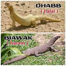 Padang pasir lagu mp3 download from lagump3downloads.net. Yang Halal Daging Dhabb Bukan Biawak Saudinesia Com