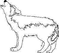 Check spelling or type a new query. Wolfe Fur Kids