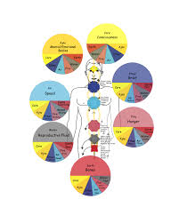 Chakras And Elements Core Synchronism