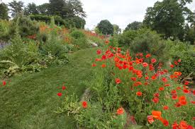Chanticleer Garden Wayne Pa Teacup Gardens Garden Plants
