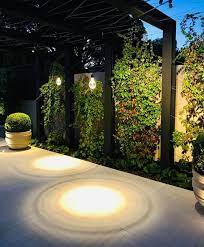 Distinctive Gardens Adelaide On Instagram The Softness Of The Virginia Creeper Growing Over The Arbour With The Beautiful Virginia Creeper Creepers Lights