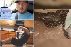 Download Trending In Tn Man Changes Name To Princess Consuela Banana Hammock 45 Venomous Rattlesnakes And Microwave Challenge Dtnext In