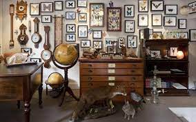 Steampunk Home Decor Naturalist Decor Home Decor