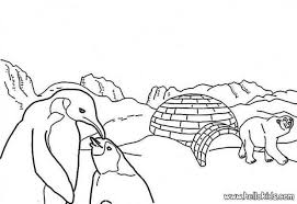 Animal jam u fancy tiva. Arctic Animals Coloring Page More Wild Animals Coloring Sheets On Hellokids Com Animal Coloring Pages Super Coloring Pages Coloring Pages