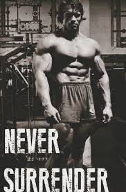 Never Surrender Arnold Schwarzenegger Gym Schwarzenegger Bodybuilding Fitness Inspiration Body