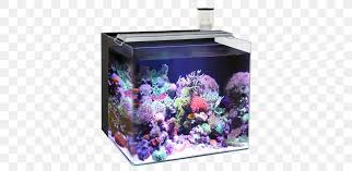 The tank is 100cm x 60cm x 50cm and is illuminated by a 6 bulb t5 fixture. Reef Aquarium Nano Aquarium Light Liter Png 800x400px Reef Aquarium Aquarium Aquascaping Fish Lamp Download Free