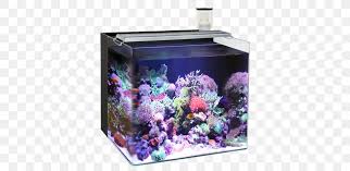 Observe how the reef looks like and do your best to mimic it in your saltwater fish tank or reef tank. Reef Aquarium Nano Aquarium Light Liter Png 800x400px Reef Aquarium Aquarium Aquascaping Fish Lamp Download Free