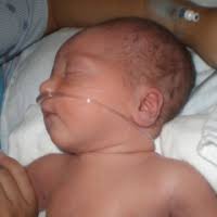 Donate to The Forrest Spence Fund