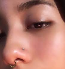 Septum Ring Septum New Nose Piercing Jewelry Cute Nose Piercings Nose Piercing Stud