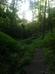 Baltimore Woods Nature Center Nature Center Nature Stargazing