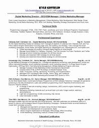 Social Media Manager Resumes Unique Simple Social Media Manager Resume Example Socialdia Digital Marketing Manager Resume Examples Marketing Resume