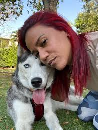 roebuck and reindeer antlers