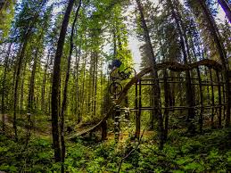 month: kitchen sink trail wiki