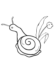 Printable Snail Coloring Pages The Length Of A Snail S Life Depends On Each Specific Species And In 2020 Coloring Pages Animal Coloring Pages Coloring Pages To Print
