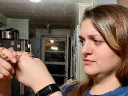 Another round of "Snakes in the Park!" On Saturday, August 17th, 12pm-1pm.  Location will be the turtle statue behind The Center for the Arts Plenty of  you know I am a herpetologist (