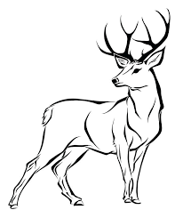 Deer can be cute and imposing animals. Deer Coloring Pages Realistic Novocom Top