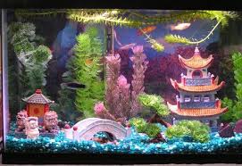 Freshwater Tanks Page 125 Cool Fish Tanks Fish Tank Themes Fish Tank Decorations