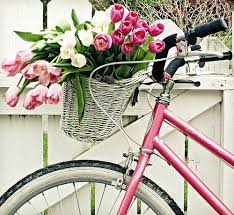 The Bike The Flowers Holland Bliss Fotos De Bicicletas Pantaleon Y Las Decoradoras Decoracion Bicicleta