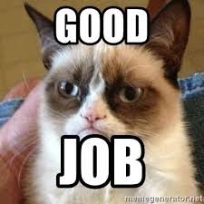Business cat know your meme. Grumpy Cat Good Memes