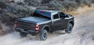 Image result for Power Tan 2020 Ram