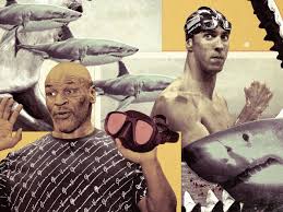 It is a whole week, after all. The Shark Week Superlatives The Ringer