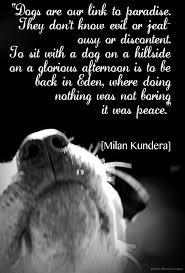 I saw a dog today quote. Pin By Gail Norman On Cutest Thing I Ever Saw Dogs Dog Quotes Dog Love