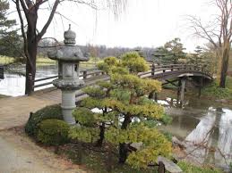 Check spelling or type a new query. Chicago Botanic Garden Rotary Botanical Gardens