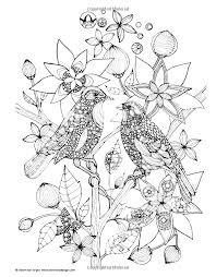 Pin On Adult Coloring Pages