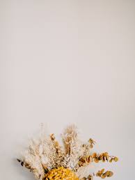 We did not find results for: White Flowers On White Background Photo Free Brown Image On Unsplash