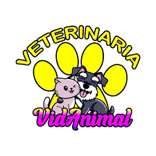 Veterinaria Vidanimal Moquegua