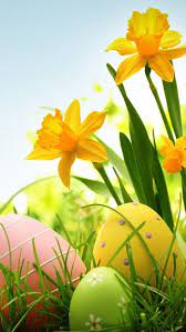 Ostern bilder fotos ostereier osterhase osterei bemalen bild illustrationen. Pin Von Wijnants Jean Pierre Auf Easter Egg Hunt Frohe Ostern Ostern Wallpaper Ostern
