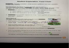 In this simulation, the hawks eat snakes, the snakes eat rabbits, and the rabbits eat grass. Get Answer Food Chain Vocabulary Consumer Ecosystem Energy Pyramid Transtutors