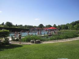 Geheimtip Naturbad Konigstein Natur Bad Badeteich Natur