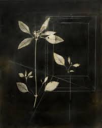 Two Local Artists to 'Show their Roots' at REM Gallery