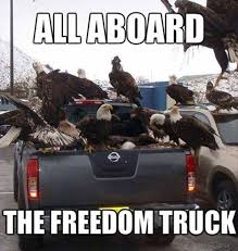 Funny Pictures Of The Day 64 Pics All Aboard The Freedom Truck Funny Animal Pictures Humor Funny Pictures