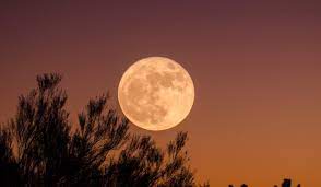 Libre pour usage commercial ✓ pas d'attribution requise ✓. Magique Une Super Lune Rose Va Eclairer Le Ciel Ce Mardi Paris Secret Rituel De La Pleine Lune Lune Rose Super Lune