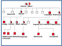 The royal disease hemophilia is an inherited disorder. Demonstrate Understanding Of Genetic Variation Ppt Video Online Download